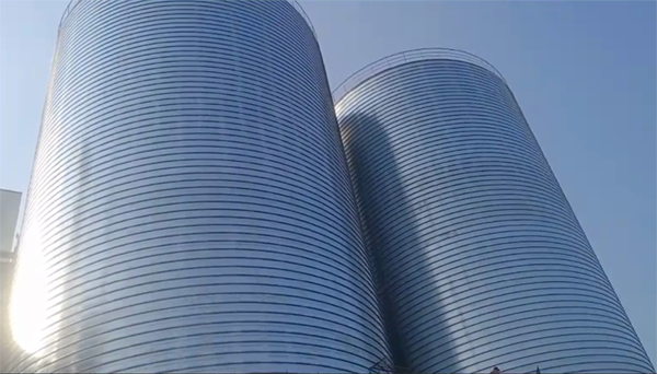 梨树2座混凝土高架卷板仓